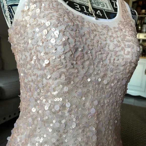 Blush Mesh Tank with sequins Small - Picture 8 of 8